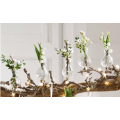 glass vase customization mini glass vase with clip